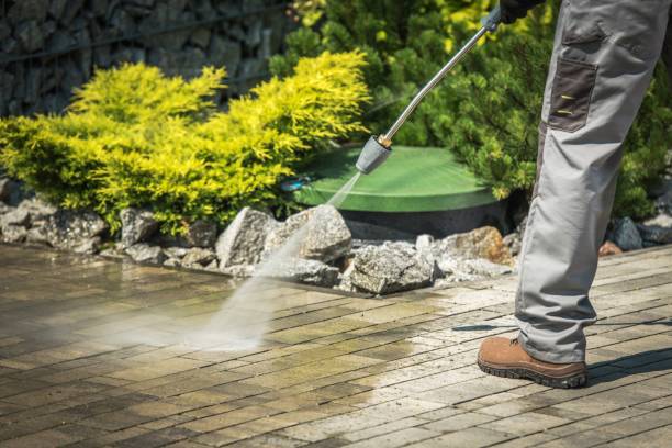 Best Soft Washing for Delicate Surfaces in Pulaski, NY