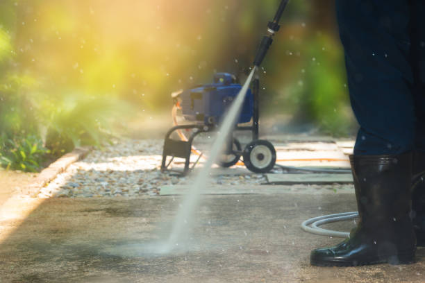 Best Driveway Cleaning and Restoration in Pulaski, NY